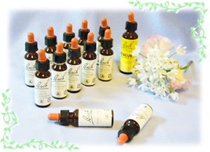 �o�b�`�t�����[