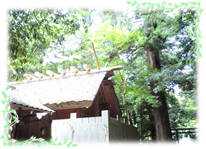 �X�s���`���A���R���T���e�B���O